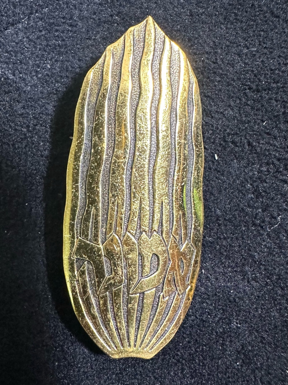 RARE: Vtg Ludwig Yaguda Wolpert Israel Faith Judaica Accent Brooch